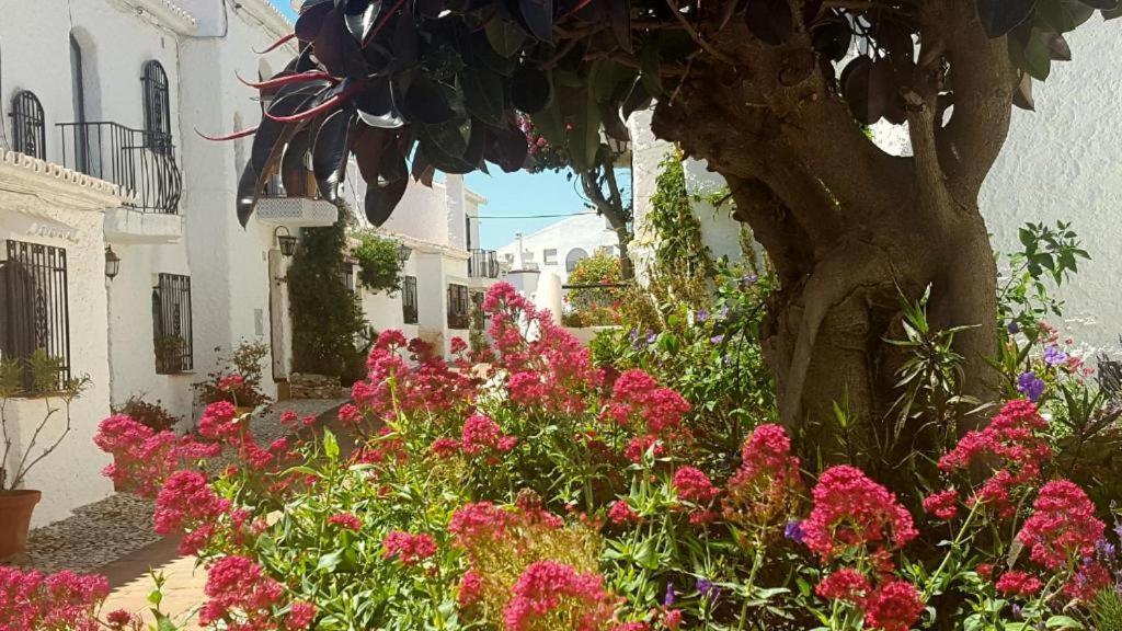 Apartamento Capistrano Village نيرخا المظهر الخارجي الصورة